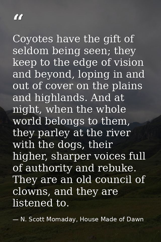 Coyotes have the gift of seldom being seen; they keep to the edge of vision and beyond, loping in and out of cover on th — N. Scott Momaday, House Made of Dawn