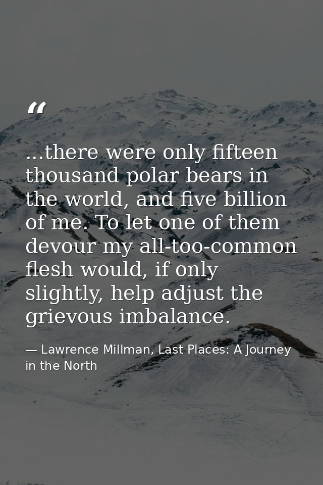...there were only fifteen thousand polar bears in the world, and five billion of me. To let one of them devour my all-t — Lawrence Millman, Last Places: A Journey in the North