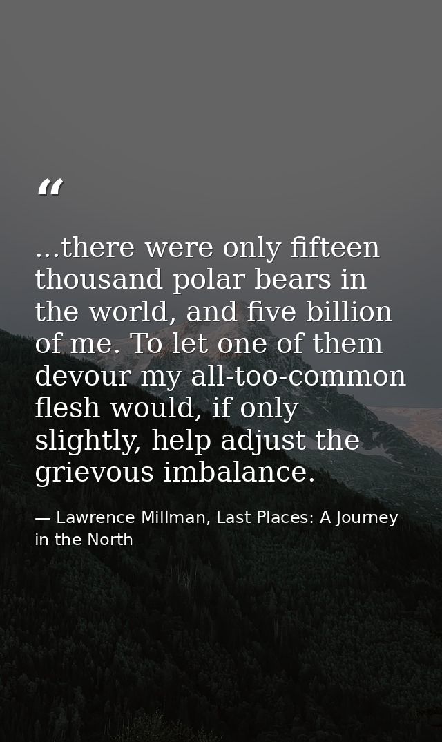 ...there were only fifteen thousand polar bears in the world, and five billion of me. To let one of them devour my all-t — Lawrence Millman, Last Places: A Journey in the North