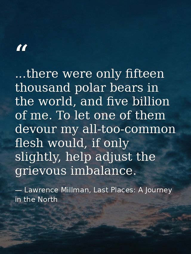 ...there were only fifteen thousand polar bears in the world, and five billion of me. To let one of them devour my all-t — Lawrence Millman, Last Places: A Journey in the North