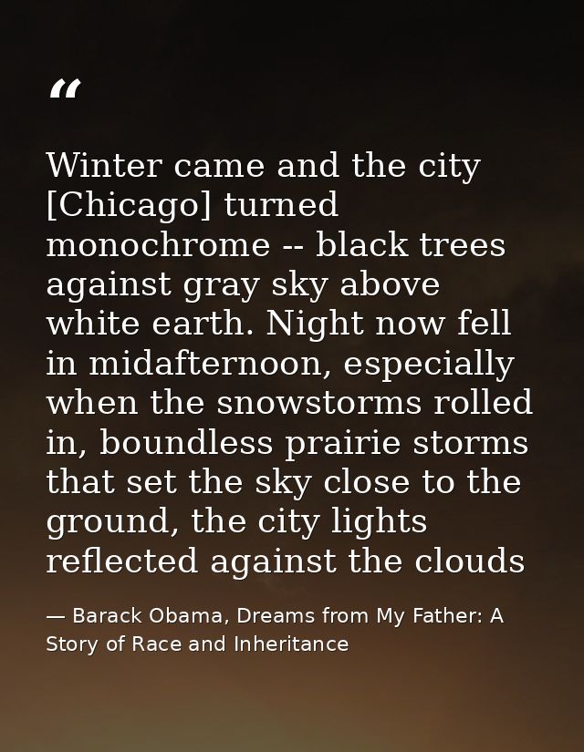 Winter came and the city [Chicago] turned monochrome -- black trees against gray sky above white earth. Night now fell i — Barack Obama, Dreams from My Father: A Story of Race and Inheritance
