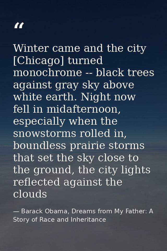 Winter came and the city [Chicago] turned monochrome -- black trees against gray sky above white earth. Night now fell i — Barack Obama, Dreams from My Father: A Story of Race and Inheritance