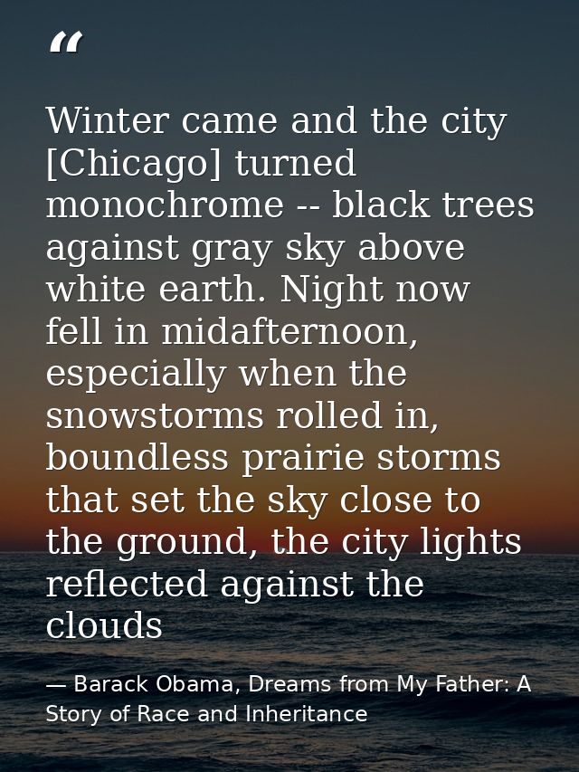 Winter came and the city [Chicago] turned monochrome -- black trees against gray sky above white earth. Night now fell i — Barack Obama, Dreams from My Father: A Story of Race and Inheritance
