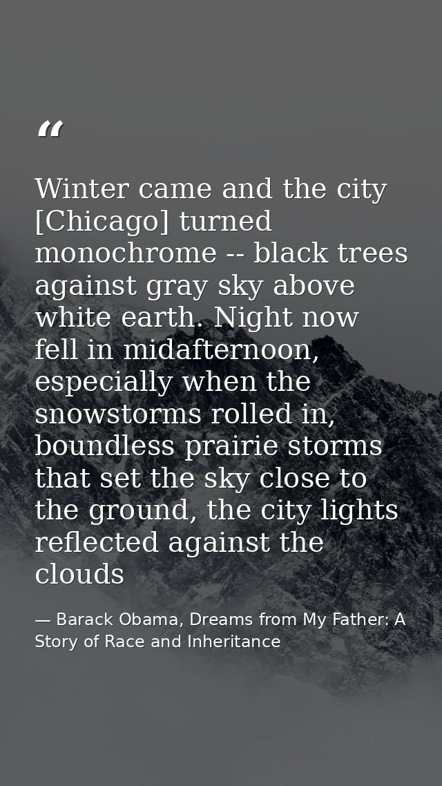 Winter came and the city [Chicago] turned monochrome -- black trees against gray sky above white earth. Night now fell i — Barack Obama, Dreams from My Father: A Story of Race and Inheritance