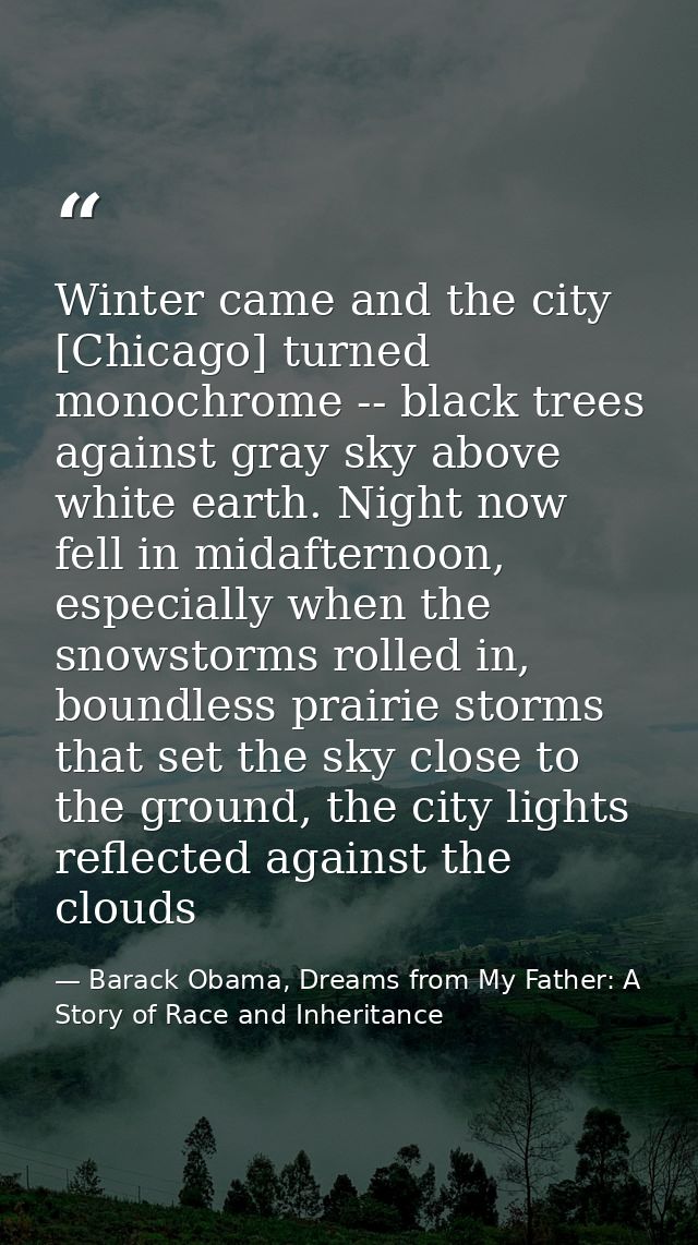 Winter came and the city [Chicago] turned monochrome -- black trees against gray sky above white earth. Night now fell i — Barack Obama, Dreams from My Father: A Story of Race and Inheritance
