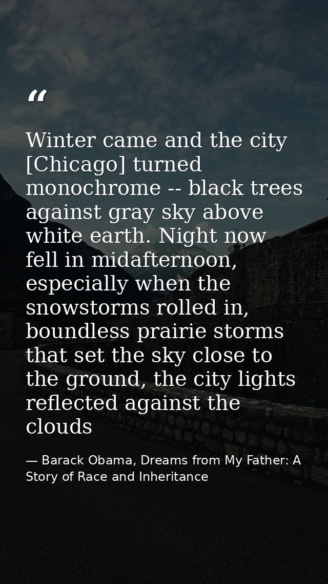 Winter came and the city [Chicago] turned monochrome -- black trees against gray sky above white earth. Night now fell i — Barack Obama, Dreams from My Father: A Story of Race and Inheritance