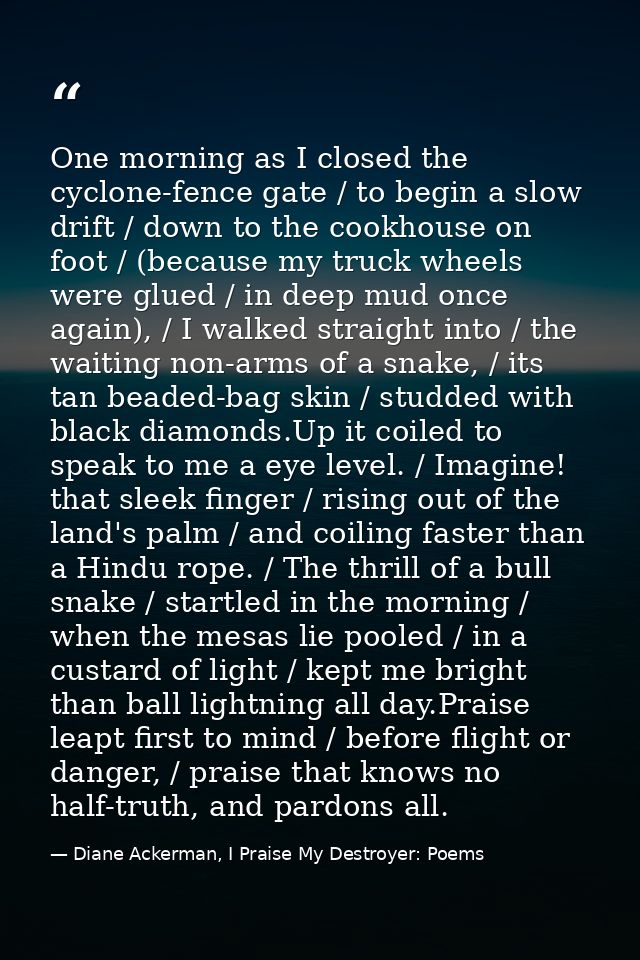 One morning as I closed the cyclone-fence gate / to begin a slow drift / down to the cookhouse on foot / (because my tru — Diane Ackerman, I Praise My Destroyer: Poems