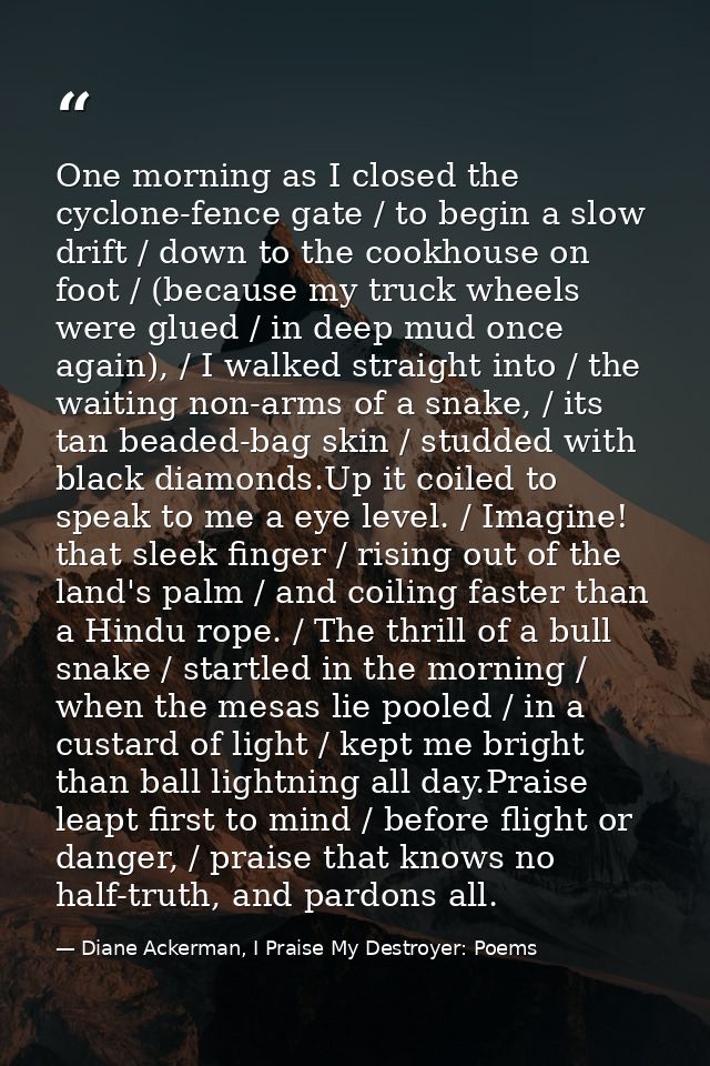 One morning as I closed the cyclone-fence gate / to begin a slow drift / down to the cookhouse on foot / (because my tru — Diane Ackerman, I Praise My Destroyer: Poems