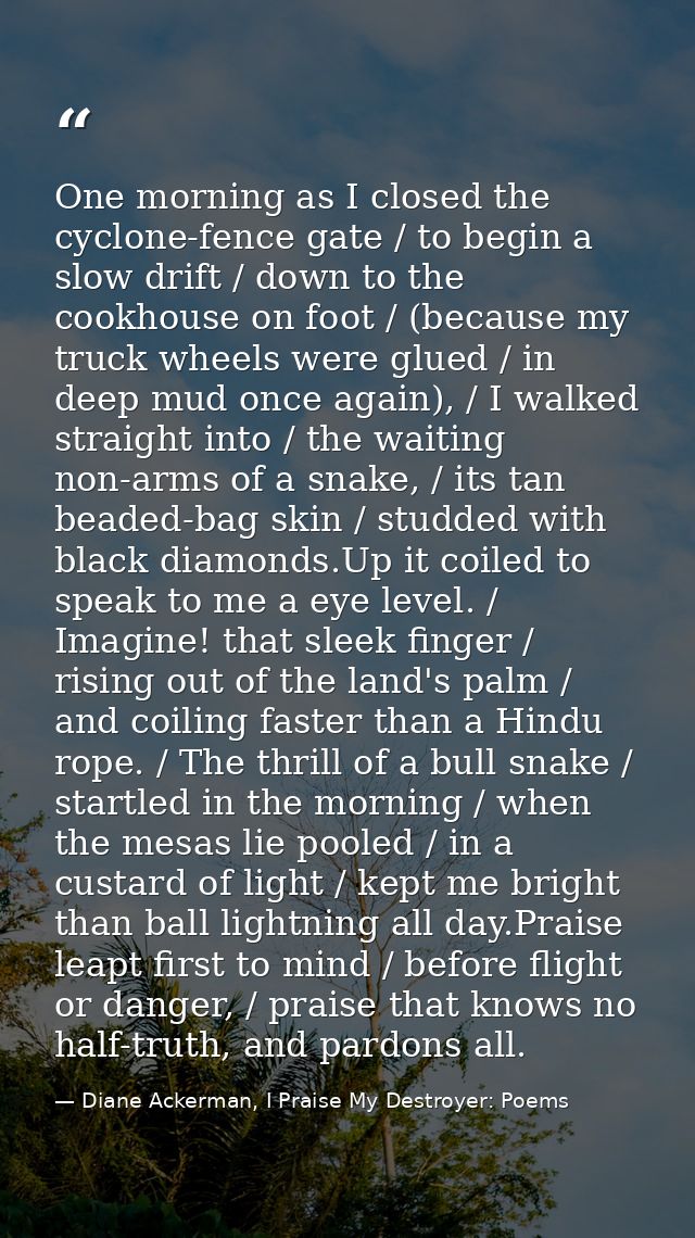 One morning as I closed the cyclone-fence gate / to begin a slow drift / down to the cookhouse on foot / (because my tru — Diane Ackerman, I Praise My Destroyer: Poems