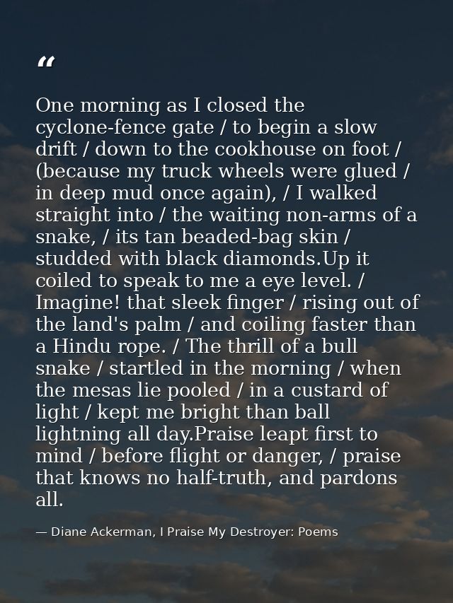 One morning as I closed the cyclone-fence gate / to begin a slow drift / down to the cookhouse on foot / (because my tru — Diane Ackerman, I Praise My Destroyer: Poems