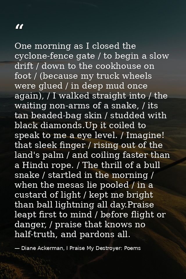 One morning as I closed the cyclone-fence gate / to begin a slow drift / down to the cookhouse on foot / (because my tru — Diane Ackerman, I Praise My Destroyer: Poems