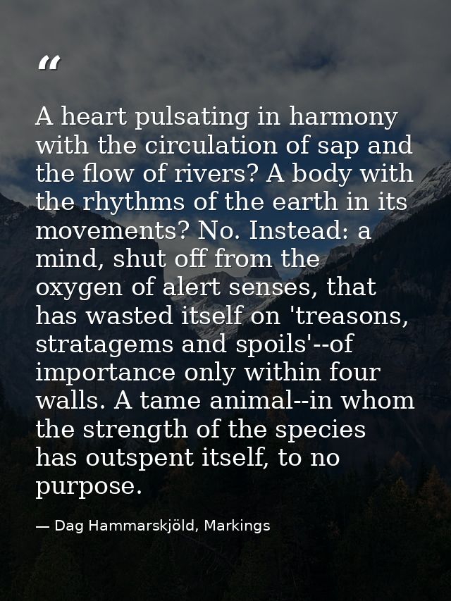 A heart pulsating in harmony with the circulation of sap and the flow of rivers? A body with the rhythms of the earth in — Dag Hammarskjöld, Markings