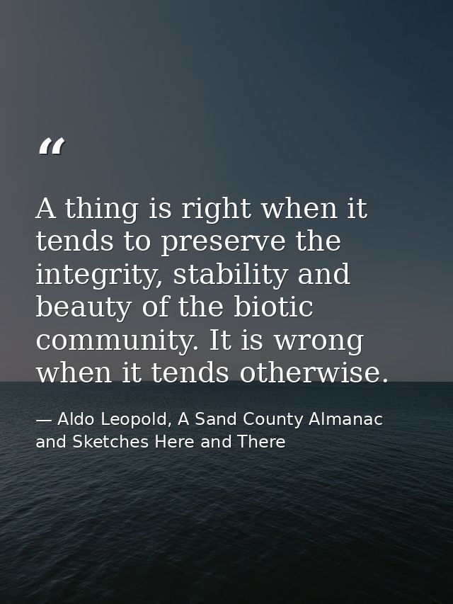 A thing is right when it tends to preserve the integrity, stability and beauty of the biotic community. It is wrong when — Aldo Leopold, A Sand County Almanac and Sketches Here and There