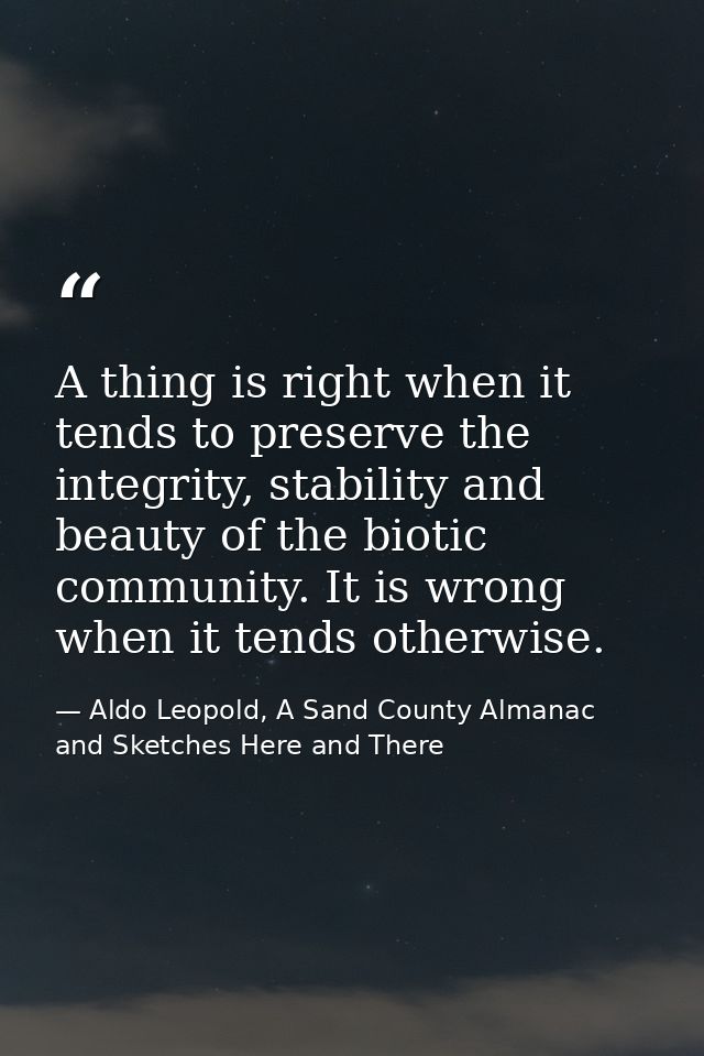 A thing is right when it tends to preserve the integrity, stability and beauty of the biotic community. It is wrong when — Aldo Leopold, A Sand County Almanac and Sketches Here and There
