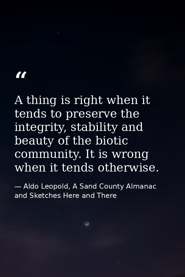 A thing is right when it tends to preserve the integrity, stability and beauty of the biotic community. It is wrong when — Aldo Leopold, A Sand County Almanac and Sketches Here and There