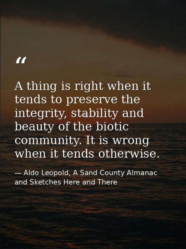 A thing is right when it tends to preserve the integrity, stability and beauty of the biotic community. It is wrong when — Aldo Leopold, A Sand County Almanac and Sketches Here and There