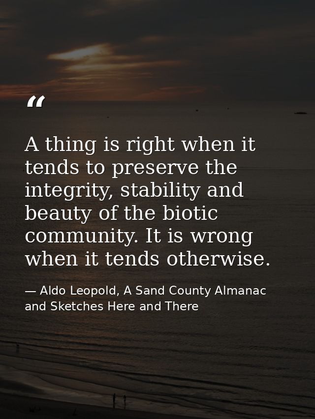 A thing is right when it tends to preserve the integrity, stability and beauty of the biotic community. It is wrong when — Aldo Leopold, A Sand County Almanac and Sketches Here and There