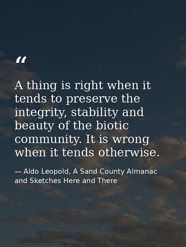A thing is right when it tends to preserve the integrity, stability and beauty of the biotic community. It is wrong when — Aldo Leopold, A Sand County Almanac and Sketches Here and There