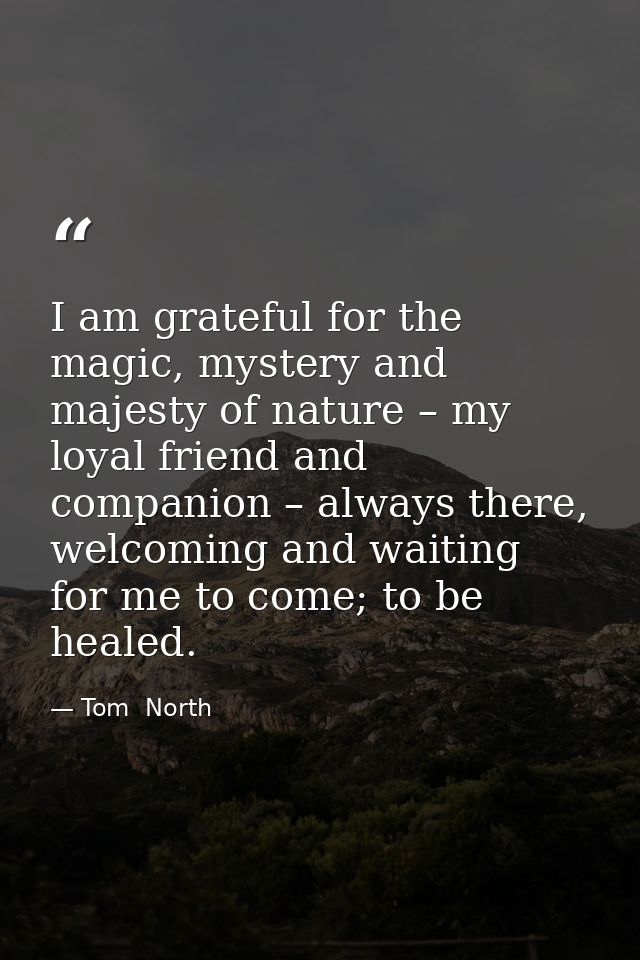 I am grateful for the magic, mystery and majesty of nature – my loyal friend and companion – always there, welcoming and — Tom  North