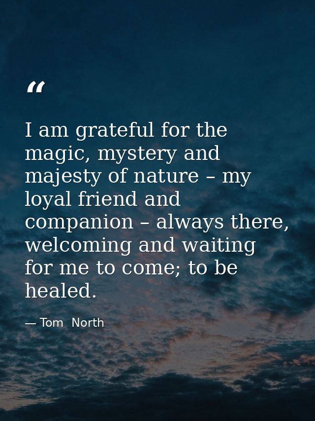 I am grateful for the magic, mystery and majesty of nature – my loyal friend and companion – always there, welcoming and — Tom  North