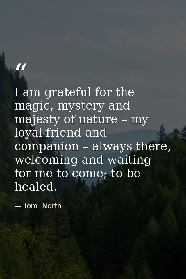 I am grateful for the magic, mystery and majesty of nature – my loyal friend and companion – always there, welcoming and — Tom  North