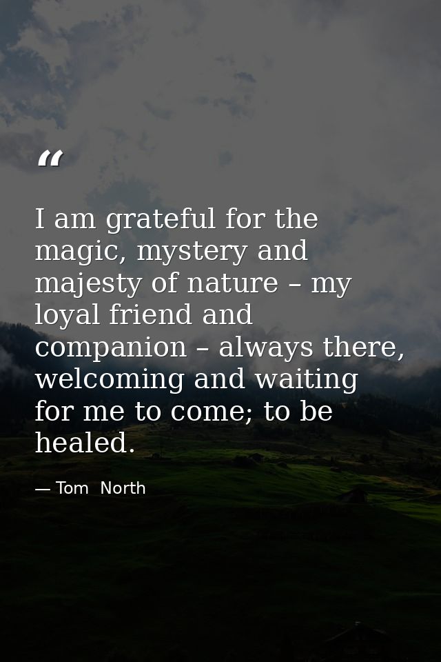 I am grateful for the magic, mystery and majesty of nature – my loyal friend and companion – always there, welcoming and — Tom  North