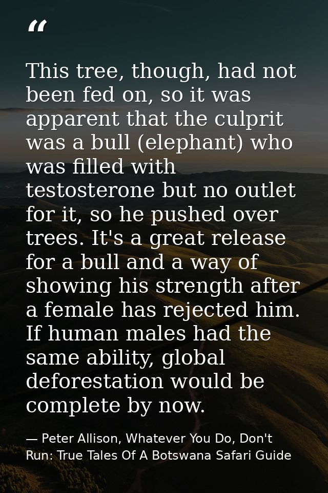 This tree, though, had not been fed on, so it was apparent that the culprit was a bull (elephant) who was filled with te — Peter Allison, Whatever You Do, Don't Run: True Tales Of A Botswana Safari Guide