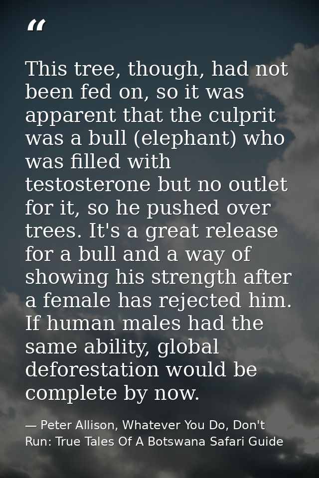 This tree, though, had not been fed on, so it was apparent that the culprit was a bull (elephant) who was filled with te — Peter Allison, Whatever You Do, Don't Run: True Tales Of A Botswana Safari Guide