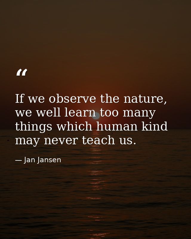If we observe the nature, we well learn too many things which human kind may never teach us. — Jan Jansen