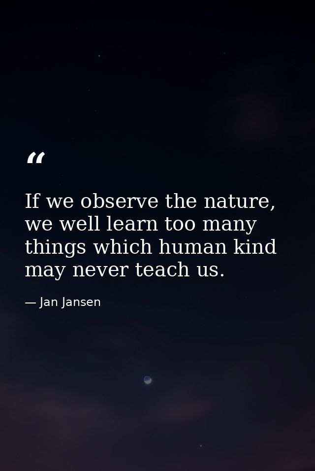 If we observe the nature, we well learn too many things which human kind may never teach us. — Jan Jansen