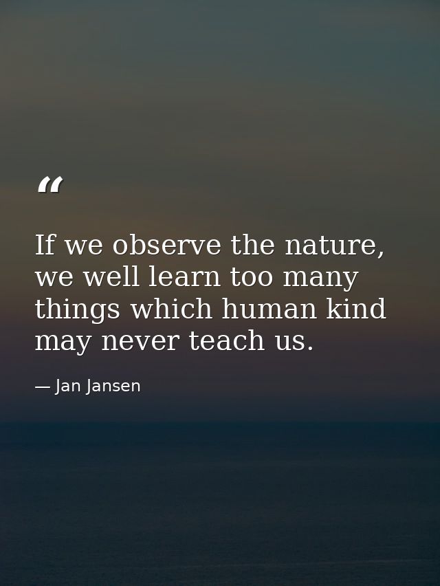If we observe the nature, we well learn too many things which human kind may never teach us. — Jan Jansen