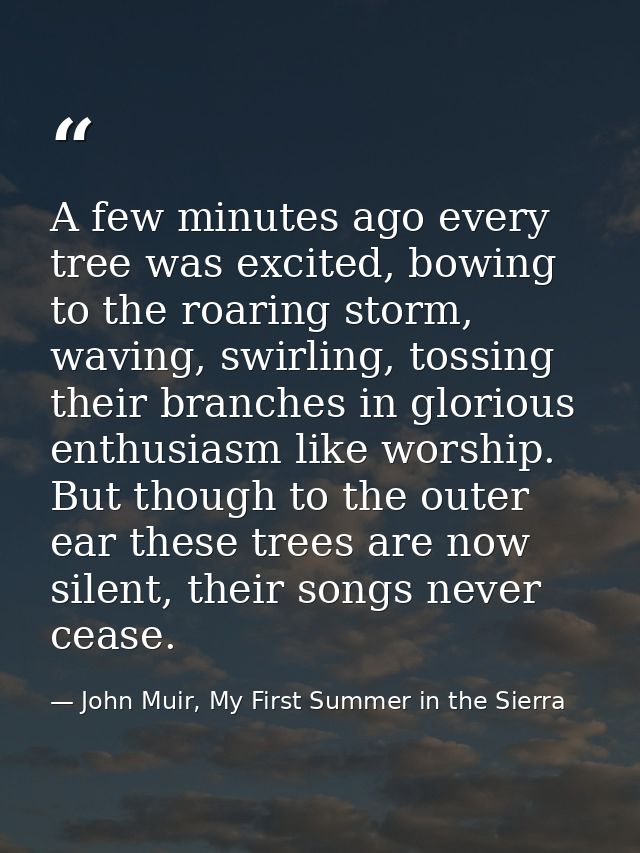A few minutes ago every tree was excited, bowing to the roaring storm, waving, swirling, tossing their branches in glori — John Muir, My First Summer in the Sierra