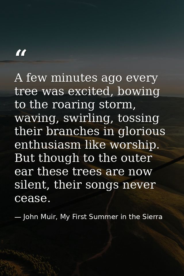 A few minutes ago every tree was excited, bowing to the roaring storm, waving, swirling, tossing their branches in glori — John Muir, My First Summer in the Sierra