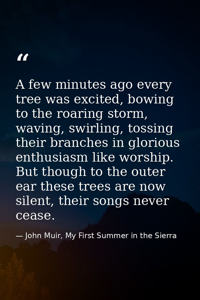 A few minutes ago every tree was excited, bowing to the roaring storm, waving, swirling, tossing their branches in glori — John Muir, My First Summer in the Sierra