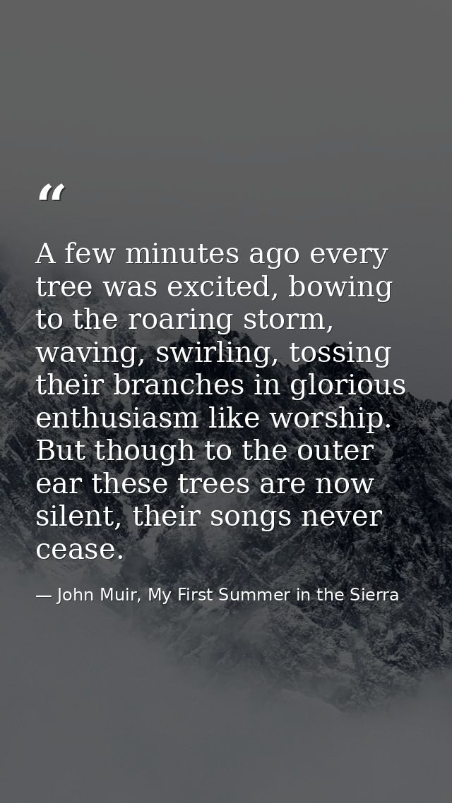 A few minutes ago every tree was excited, bowing to the roaring storm, waving, swirling, tossing their branches in glori — John Muir, My First Summer in the Sierra