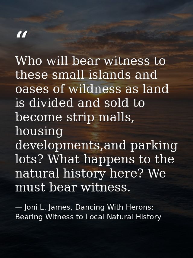 Who will bear witness to these small islands and oases of wildness as land is divided and sold to become strip malls, ho — Joni L. James, Dancing With Herons: Bearing Witness to Local Natural History
