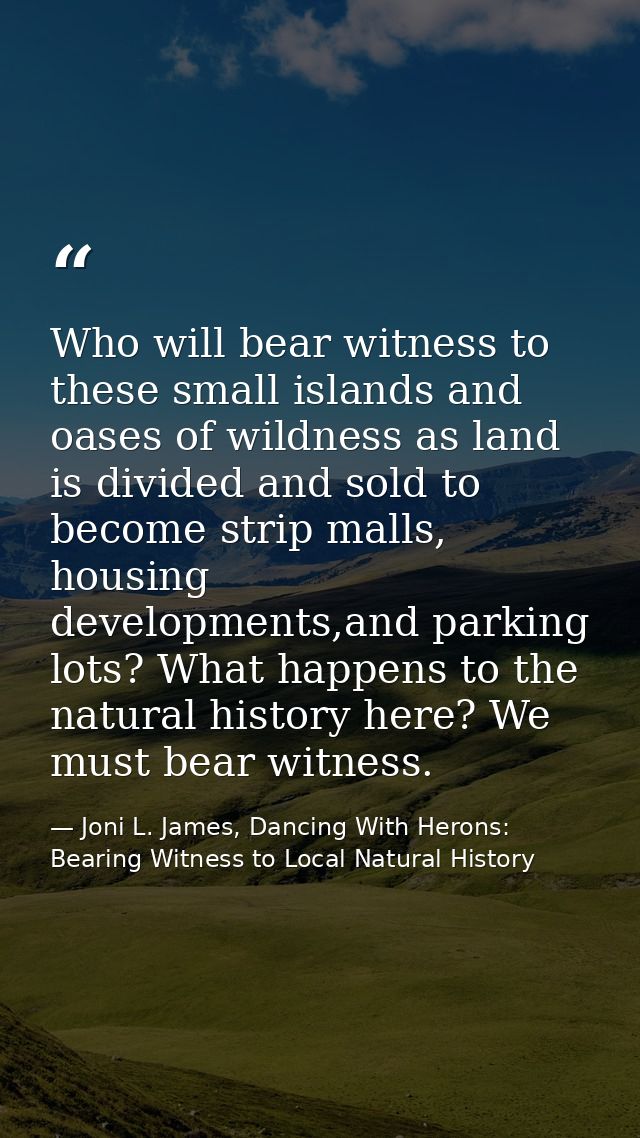Who will bear witness to these small islands and oases of wildness as land is divided and sold to become strip malls, ho — Joni L. James, Dancing With Herons: Bearing Witness to Local Natural History