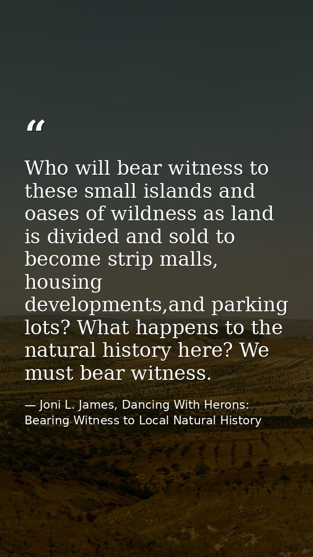 Who will bear witness to these small islands and oases of wildness as land is divided and sold to become strip malls, ho — Joni L. James, Dancing With Herons: Bearing Witness to Local Natural History
