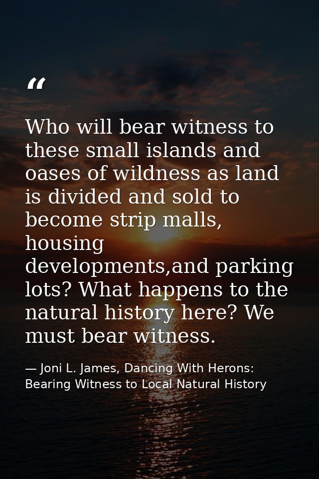 Who will bear witness to these small islands and oases of wildness as land is divided and sold to become strip malls, ho — Joni L. James, Dancing With Herons: Bearing Witness to Local Natural History