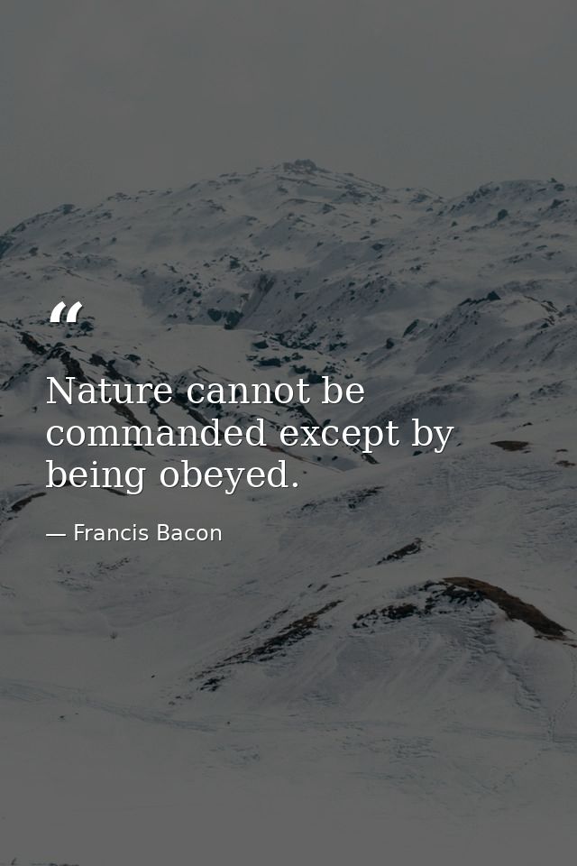 Nature cannot be commanded except by being obeyed. — Francis Bacon