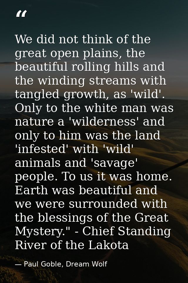 We did not think of the great open plains, the beautiful rolling hills and the winding streams with tangled growth, as ' — Paul Goble, Dream Wolf
