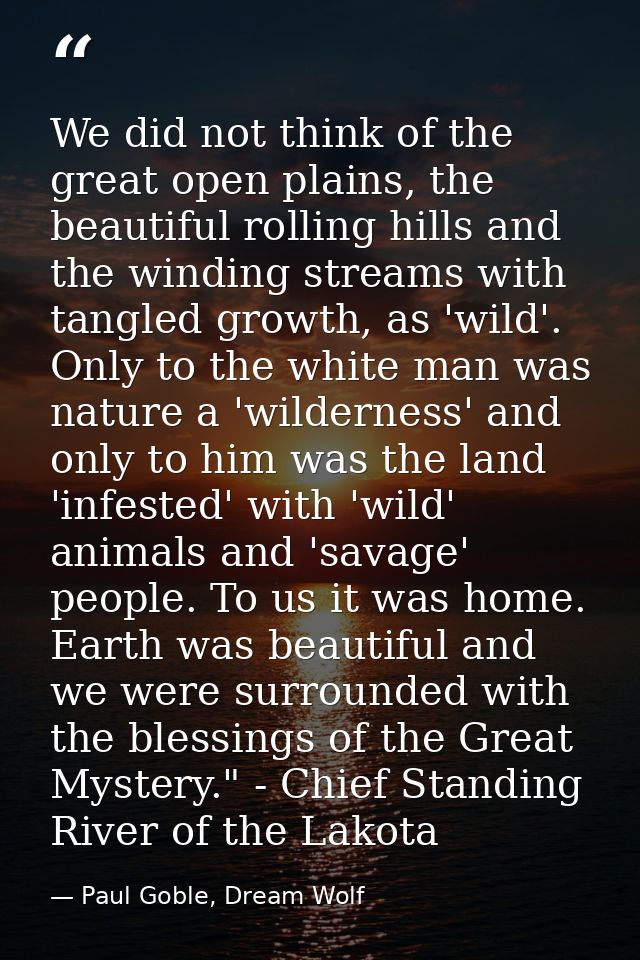 We did not think of the great open plains, the beautiful rolling hills and the winding streams with tangled growth, as ' — Paul Goble, Dream Wolf