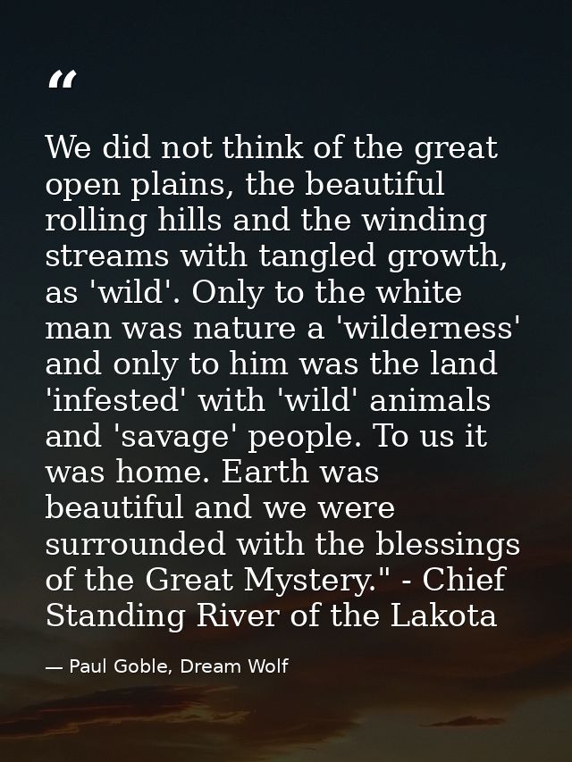 We did not think of the great open plains, the beautiful rolling hills and the winding streams with tangled growth, as ' — Paul Goble, Dream Wolf