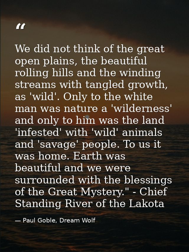 We did not think of the great open plains, the beautiful rolling hills and the winding streams with tangled growth, as ' — Paul Goble, Dream Wolf