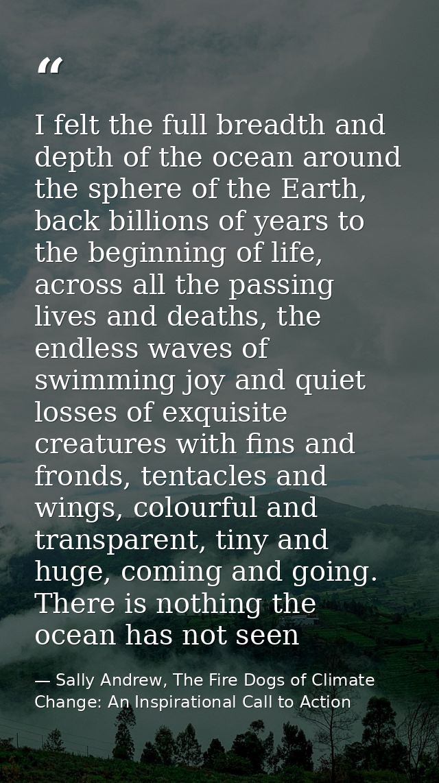 I felt the full breadth and depth of the ocean around the sphere of the Earth, back billions of years to the beginning o — Sally Andrew, The Fire Dogs of Climate Change: An Inspirational Call to Action