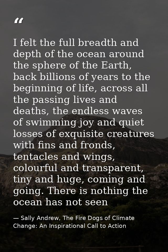 I felt the full breadth and depth of the ocean around the sphere of the Earth, back billions of years to the beginning o — Sally Andrew, The Fire Dogs of Climate Change: An Inspirational Call to Action