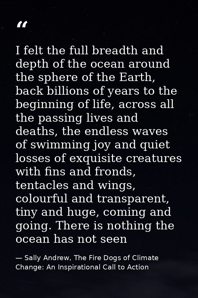 I felt the full breadth and depth of the ocean around the sphere of the Earth, back billions of years to the beginning o — Sally Andrew, The Fire Dogs of Climate Change: An Inspirational Call to Action