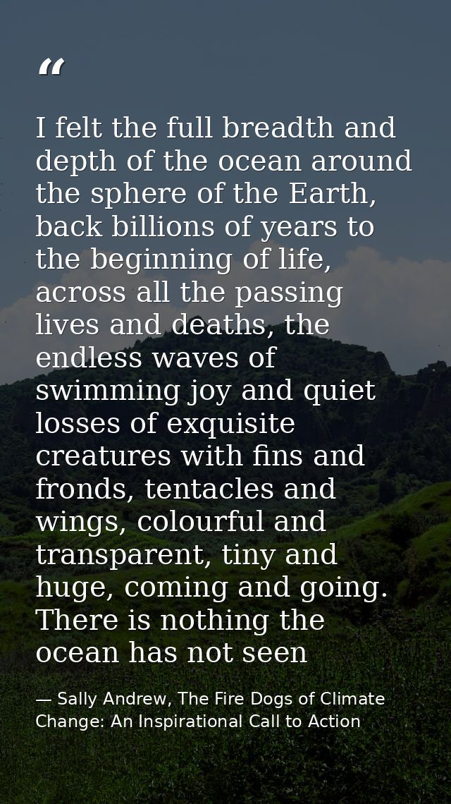 I felt the full breadth and depth of the ocean around the sphere of the Earth, back billions of years to the beginning o — Sally Andrew, The Fire Dogs of Climate Change: An Inspirational Call to Action