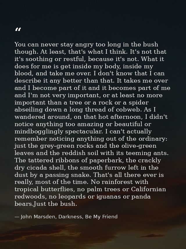 You can never stay angry too long in the bush though. At least, that's what I think. It's not that it's soothing or rest — John Marsden, Darkness, Be My Friend