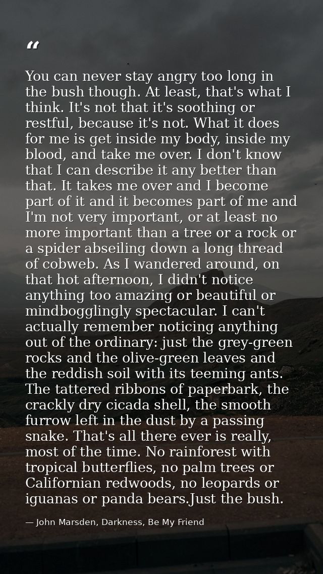 You can never stay angry too long in the bush though. At least, that's what I think. It's not that it's soothing or rest — John Marsden, Darkness, Be My Friend